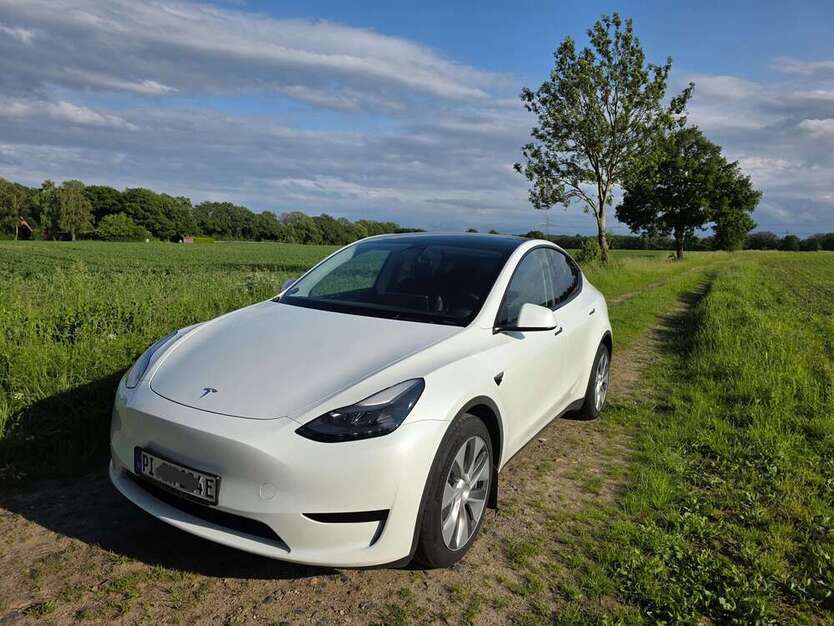 Model Y