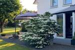 Einfamilienhaus Pleinfeld - 5 Zimmer, 201 m&sup2;, 785.000&euro; | Angebot:25669926