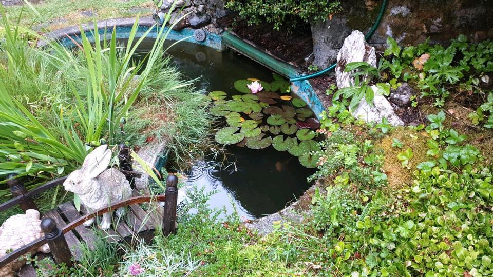 Einfamilienhaus Furtwangen im Schwarzwald - 13 Zimmer, 300 m&sup2;, 475.000&euro; | Angebot:25322574