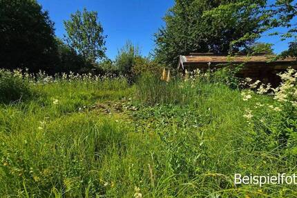 Familienidyll im Grünen – Baugrundstück in Schönfeld-Weißig zimmer