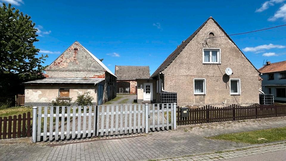 Einfamilienhaus Mockrehna - 4 Zimmer, 110 m&sup2;, 85.000&euro; | Angebot:27300965
