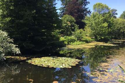 Wohnen auf Zeit in Bonn 750 € 2 zimmer