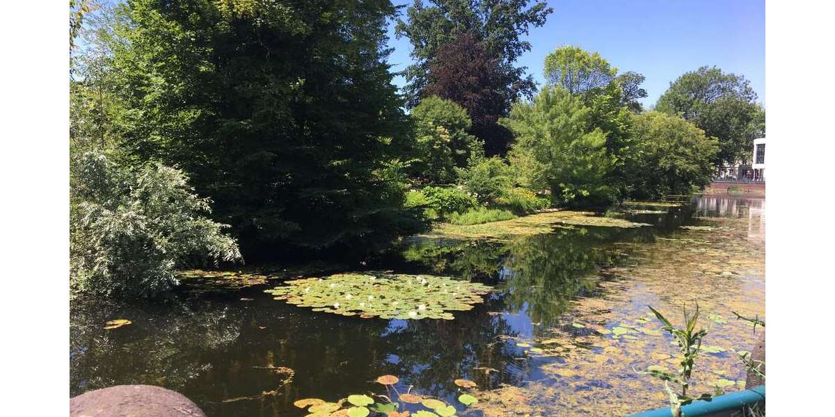 Wohnen auf Zeit in Bonn 750 € 2 zimmer