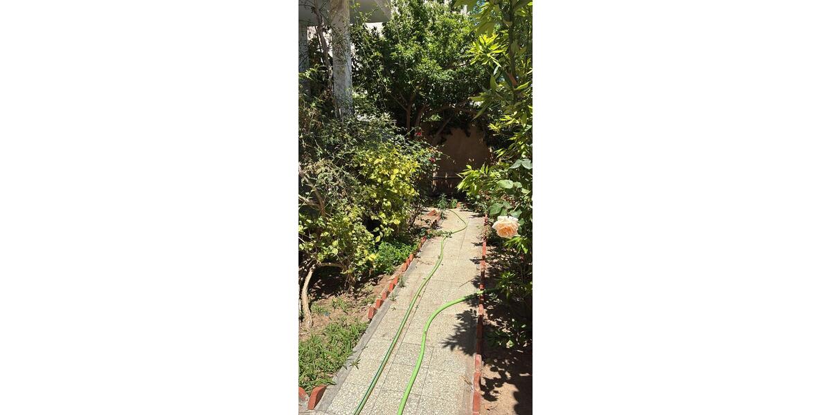 Einfamilienhaus Steinweiler - 2 Zimmer, 420 m&sup2;, 400.000&euro; | Angebot:27019675