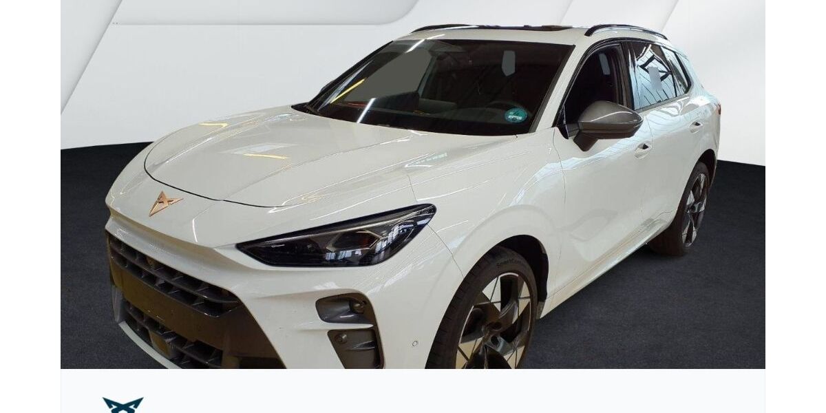 Cupra Terramar 26.990 km 42.750 &euro; Weißenburg in Bayern 91781