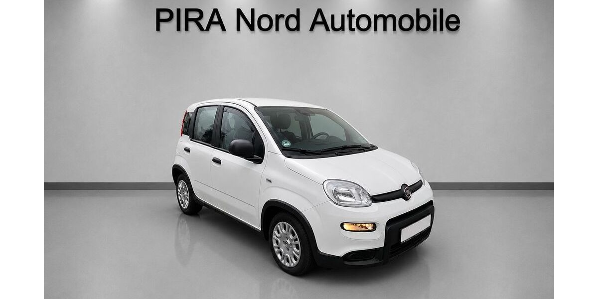 Fiat Panda 12.888 km 11.980 &euro; Norderstedt 22844