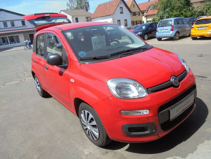 Panda