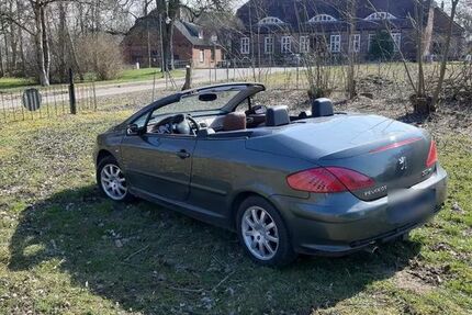 Peugeot 307 250.000 km 2.160 &euro; dargun 17159