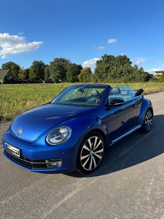 Beetle