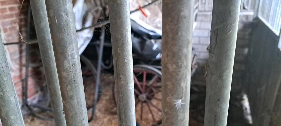 Einfamilienhaus Kloster Lehnin - 4 Zimmer, 130 m&sup2;, 350.000&euro; | Angebot:26262341