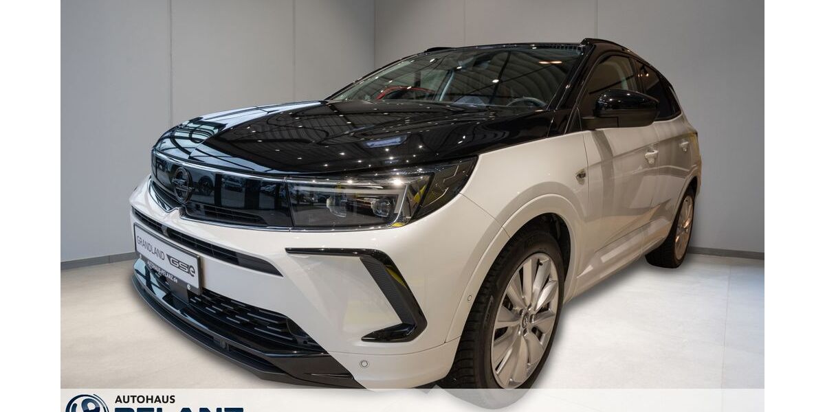 Opel Grandland (X) 24.580 km 27.940 &euro; Bochum 44801