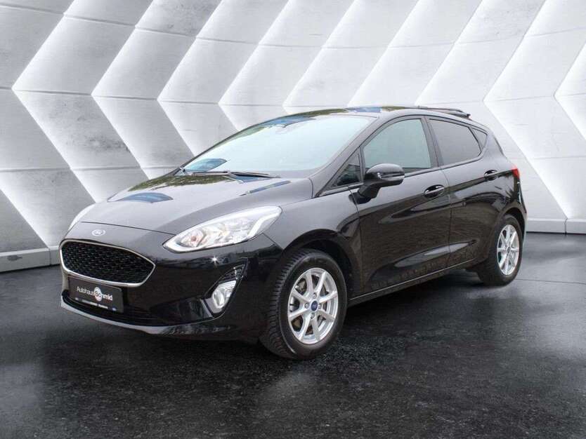 Ford Fiesta 101.500 km 10.900 € Waldkirch 79183