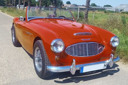 Austin Healey Andere 5.000 km 49.800 &euro; Brüggen 41379
