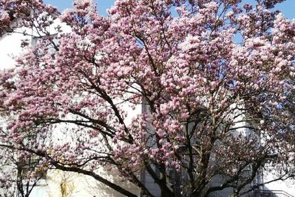 Ideales Haus für eine Familie in Feldrandlage! 5 zimmer