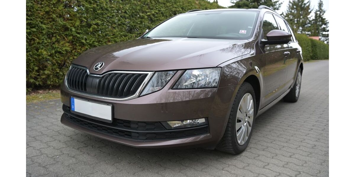 Skoda Octavia 217.000 km 8.900 &euro; Luckau 15926