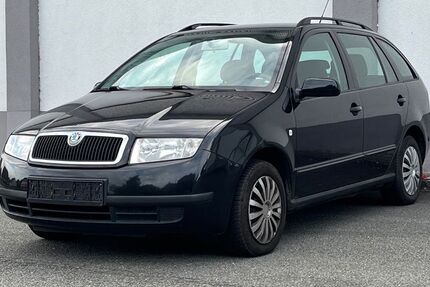 Skoda Fabia 193.000 km 1.490 € Geesthacht 21502