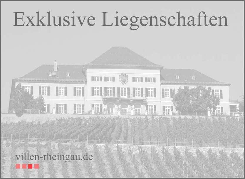 Haus zum Kaufen in Geisenheim 2.800.000 € 1228 m²