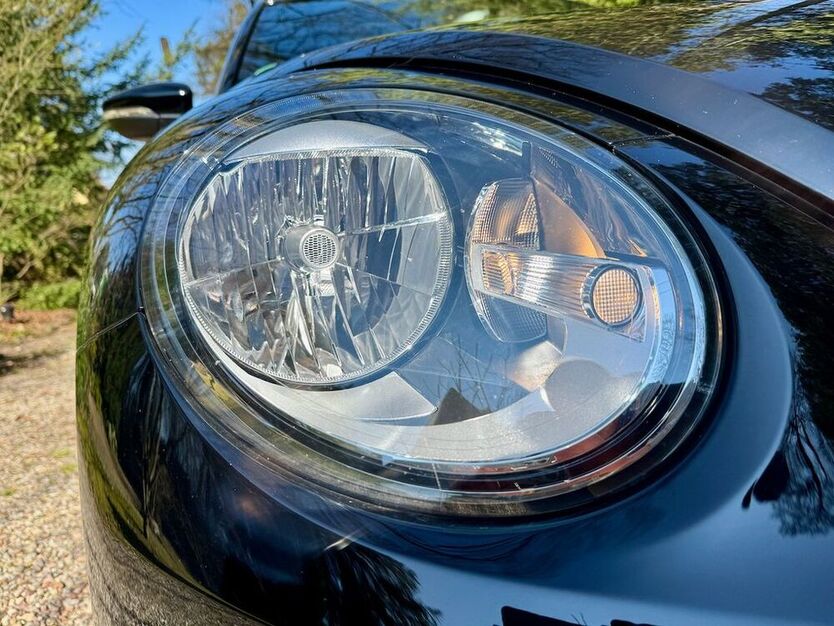 Beetle