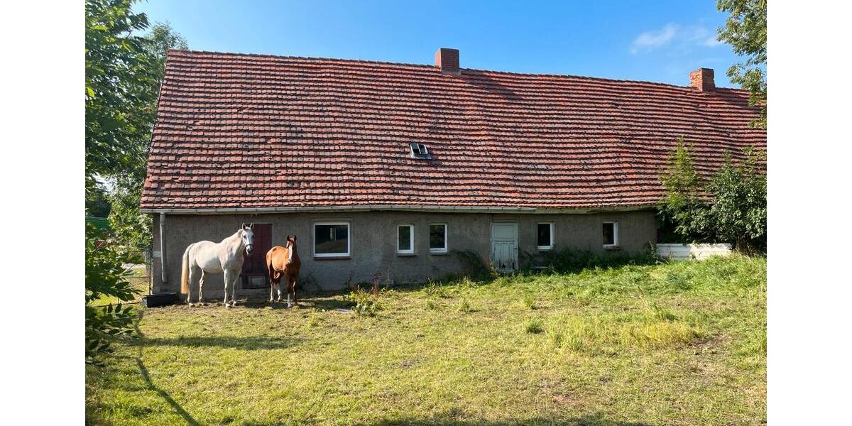 Doppelhaushälfte Stavenhagen - 32.000&euro; | Angebot:27086503
