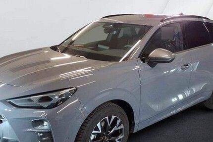 Cupra Terramar 3.150 km 37.975 &euro; Braunschweig 38114
