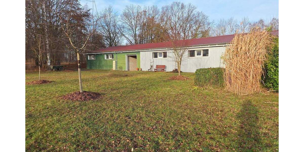 Riesen-Grundstück, zusätzl. Bauland, Riesen-Garage, Stall - Großzügiges Wohnhaus in Greifswald 7 zimmer