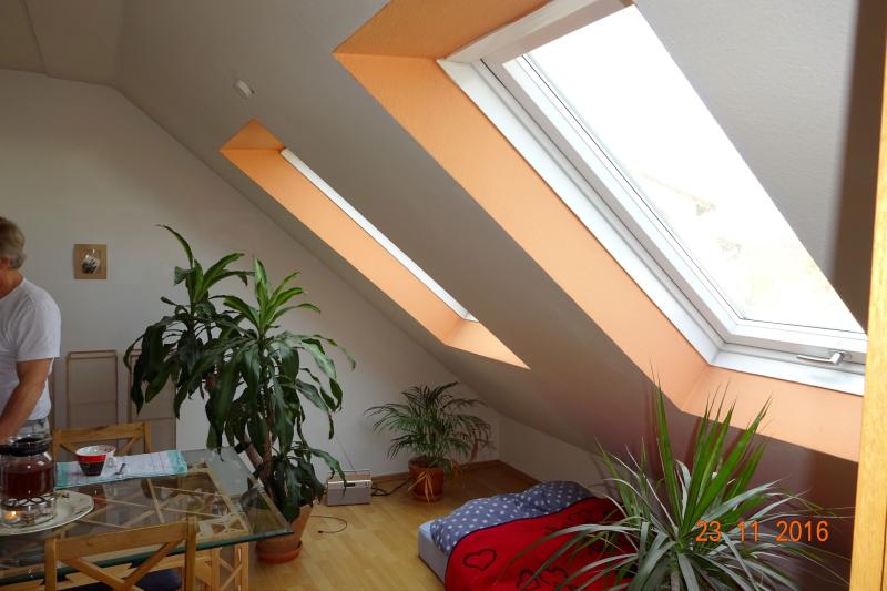 ObjNr:19009 - KAPITALANLAGE - gepflegtes 1-Zimmer Appartement zentral und doch ruhig in Alzey 1 zimmer