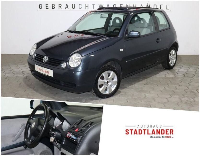 Lupo