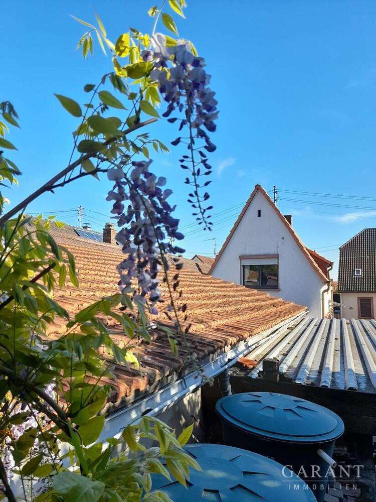 Haus zum Kaufen in Essingen 275.000 € 100 m²