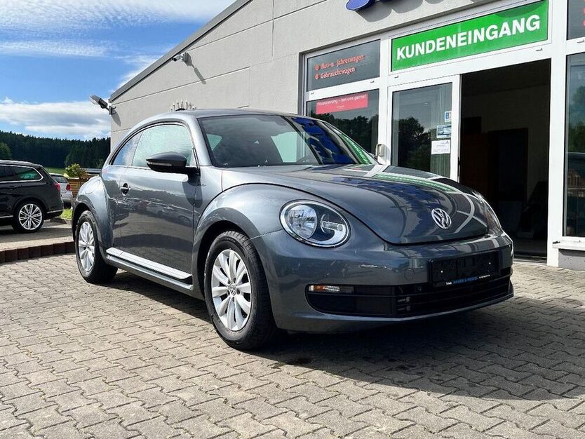 Beetle