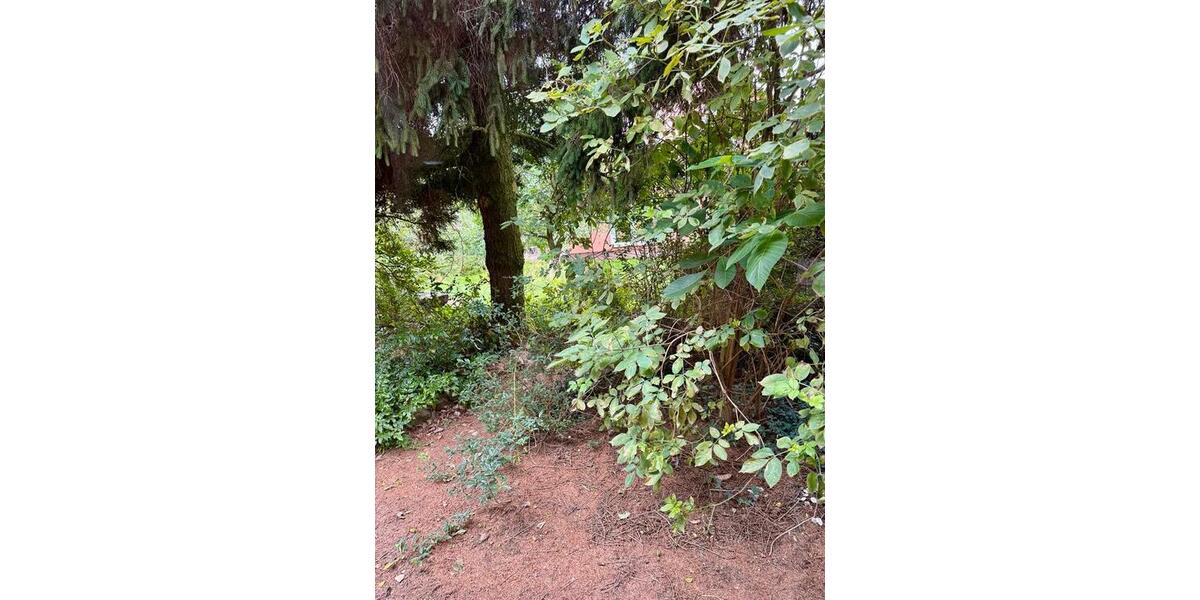 Einfamilienhaus Panketal - 1 Zimmer, 50 m&sup2;, 800&euro; | Angebot:24691202