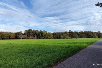 Spitzen-Bauplatz für freistehendes EFH - in direkter Feldrandlage zimmer