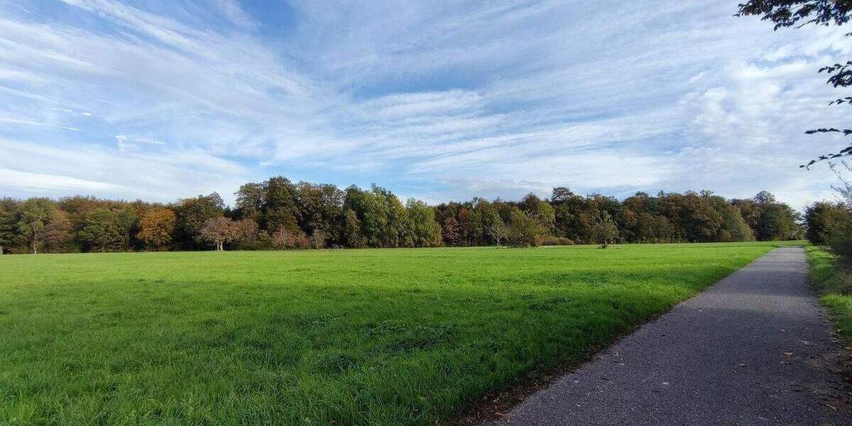 Spitzen-Bauplatz für freistehendes EFH - in direkter Feldrandlage zimmer