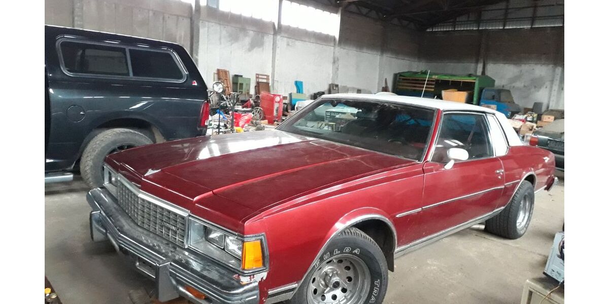 Chevrolet Caprice 70.000 km 12.999 &euro; Friedland 17309