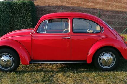 VW Käfer
