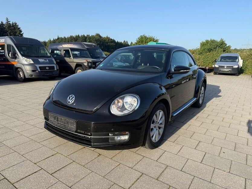 Beetle