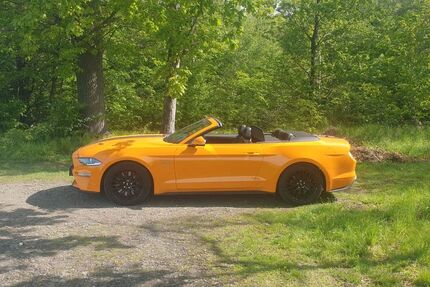 Ford Mustang 33.491 km 39.750 &euro; Bad Harzburg 38667