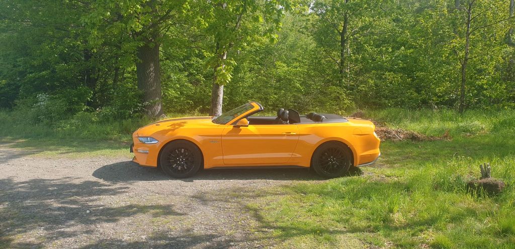 Ford Mustang 33.491 km 40.900 &euro; Bad Harzburg 38667