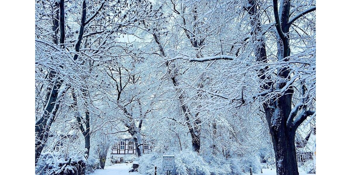 Hochparterre Wustrow (Wendland) - 1 Zimmer, 63 m&sup2;, 98.000&euro; | Angebot:25992049