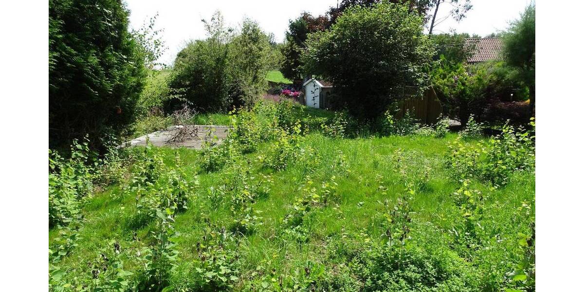 Einmalige Gelegenheit: großes frei stehendes Einfamilienhaus, welcher auch also Zweifamilien- oder Mehrgenerationenhaus genutzt werden kann (das Haus 9 zimmer