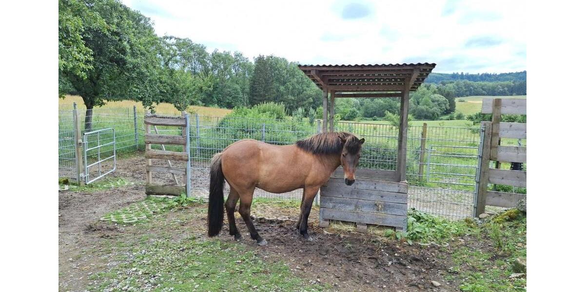 Bauernhaus, Landhaus Stockach - 6 Zimmer, 170 m&sup2;, 930.000&euro; | Angebot:25142462