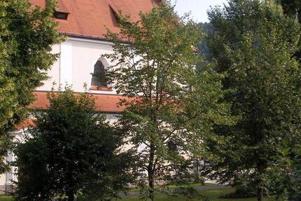 Wohnung Hausham - 2 Zimmer, 78 m&sup2;, 858&euro; | Angebot:26065767