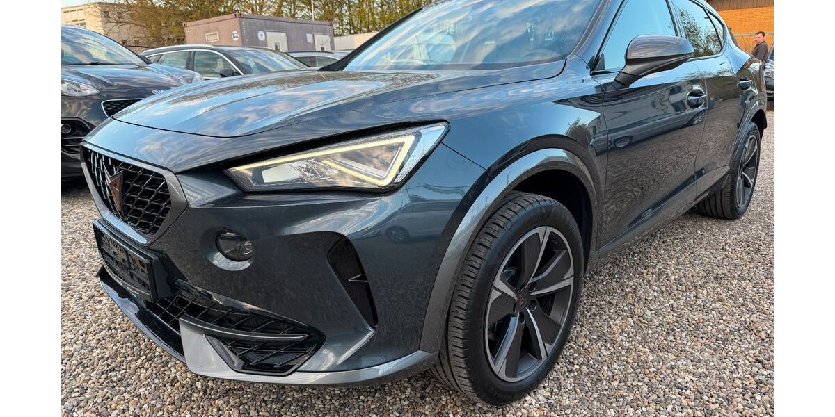 Cupra Formentor 110.000 km 22.015 &euro; Germersheim 76726