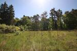 Grundstück Darmstadt Eberstadt - 369.000&euro; | Angebot:26388556