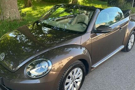 VW Beetle