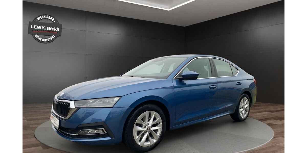 Skoda Octavia 57.663 km 19.780 &euro; Elsterwerda 04910
