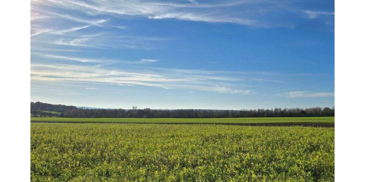 Grundstück Trier / Biewer Trier-Nord - 958.000&euro; | Angebot:25748127