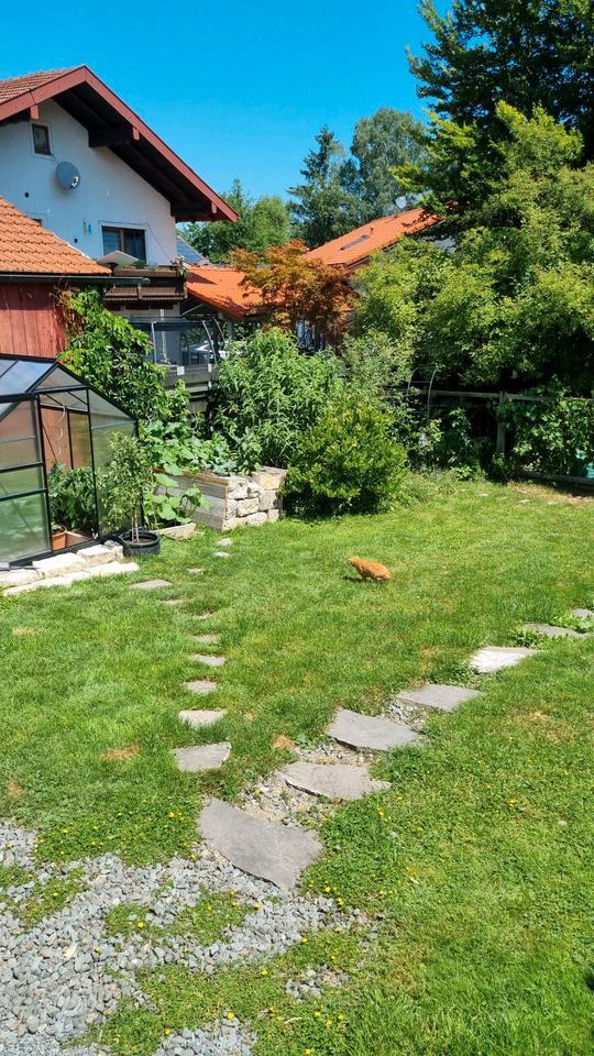 Traumhaus in Ainring für 1 Jahr zur Zwischenmiete zimmer