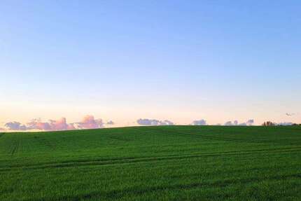 Wohnung zum Mieten in Tessin 748 € 59.5 m² 2 zimmer