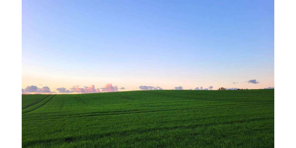 Wohnung zum Mieten in Tessin 748 € 59.5 m² 2 zimmer