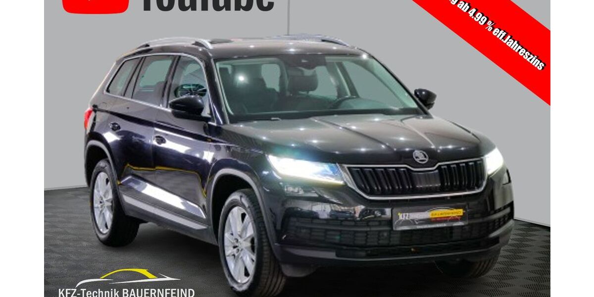 Skoda Kodiaq 176.146 km 14.700 &euro; Neustadt 92660
